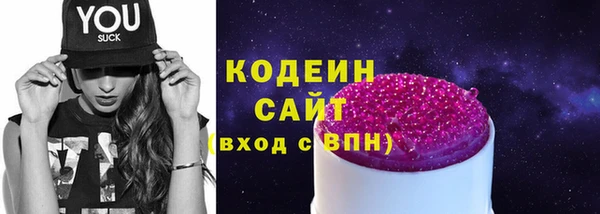 мдпв Верея