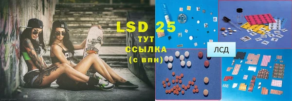 мдпв Верея